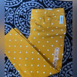 NWT Old Navy pixie ankle pants - Size 16 - Yellow polkadot